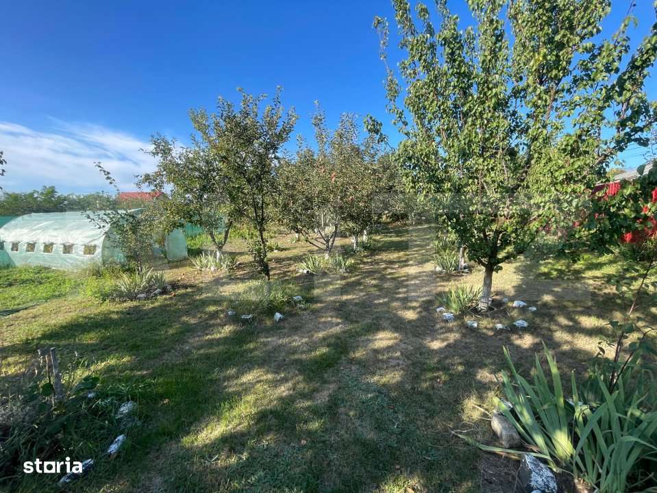 Casa 6 camere, 229 mp, scara exterioara, zona Dorobanti - Imagine principală: 4/17