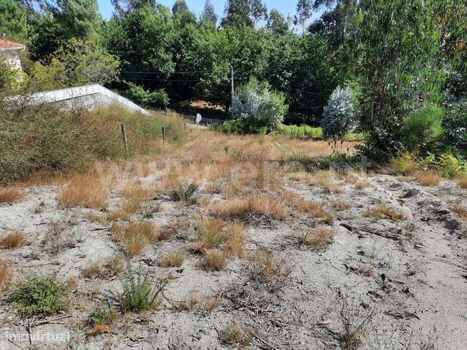 Terreno de construção com 1.800 m2 em Travassós - Grande imagem: 4/6