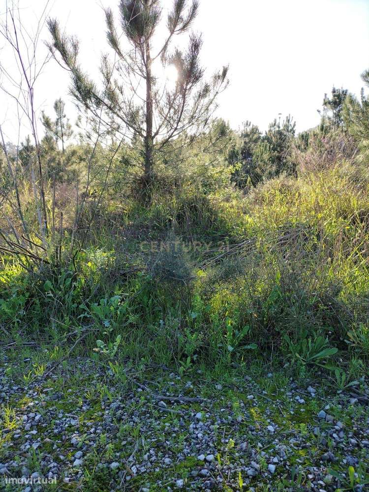 Lote de terreno para construção de moradia em banda - Grande imagem: 4/17