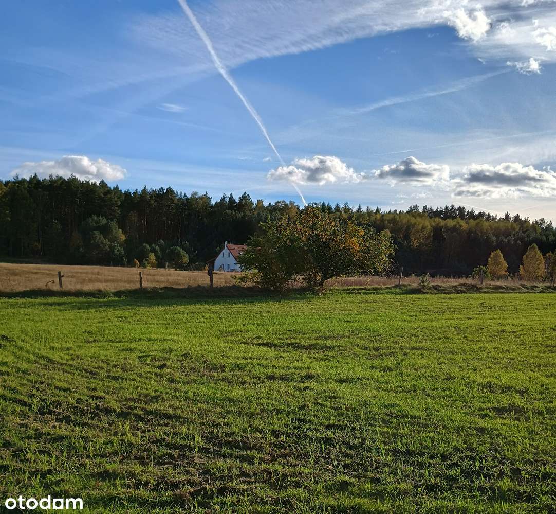 Działka 3000 m² w malowniczej okolicy - Pełny obrazek: 4/19
