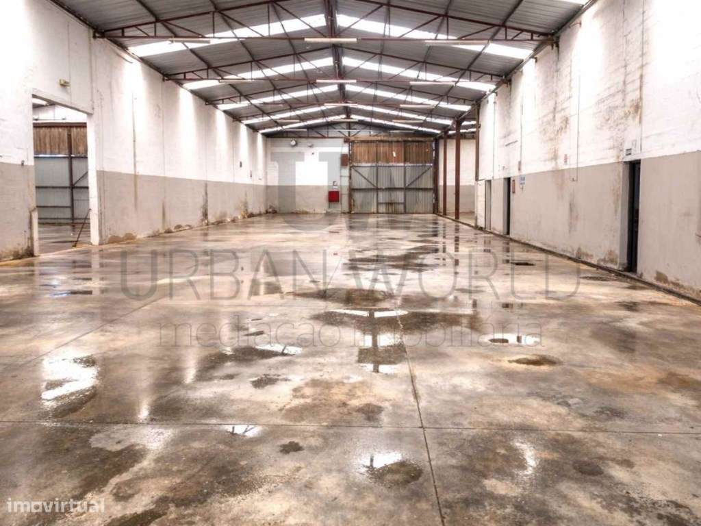 Armazém, Chamusca - Santarém, 4.665m2 - Grande imagem: 2/10