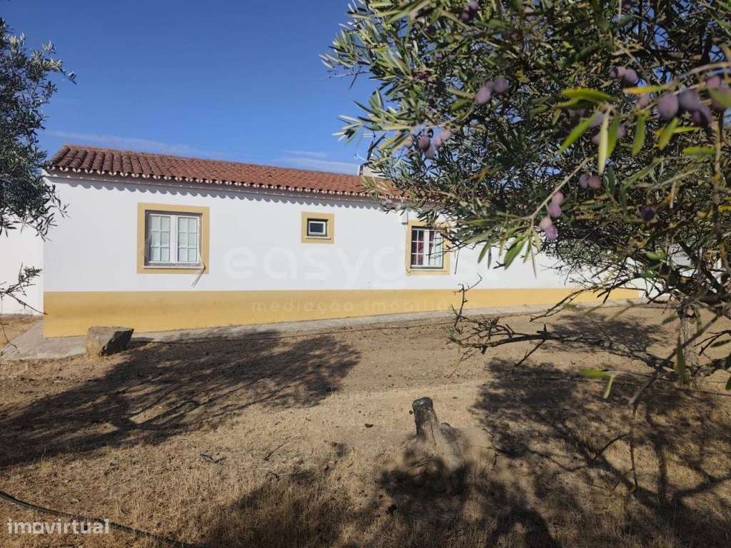 Moradia localizada em Faro do Alentejo, inserida num terreno com 31... - Grande imagem: 4/36