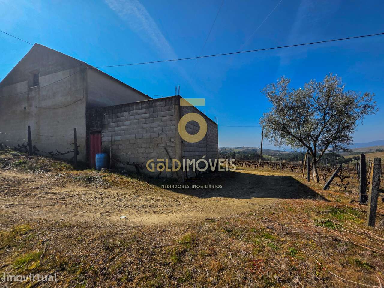 Quinta  Venda em Castedo e Cotas,Alijó - Grande imagem: 5/20