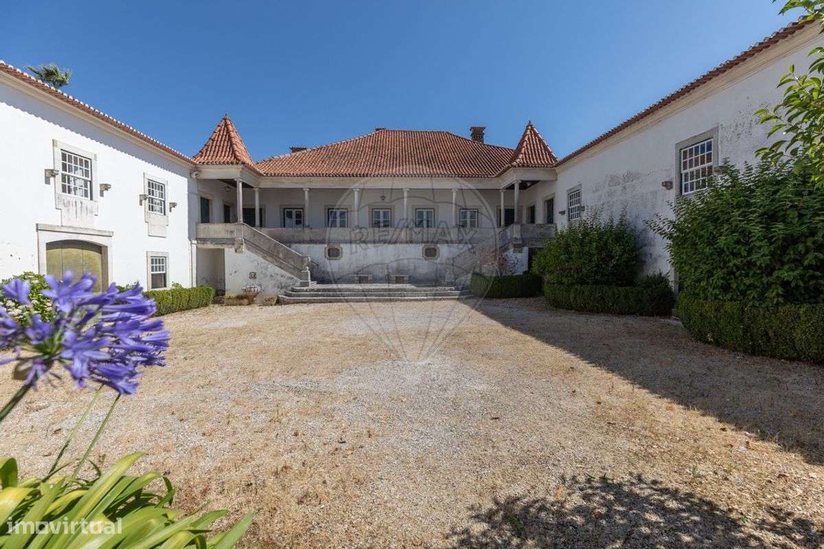 Solar T13 para venda - Grande imagem: 5/48