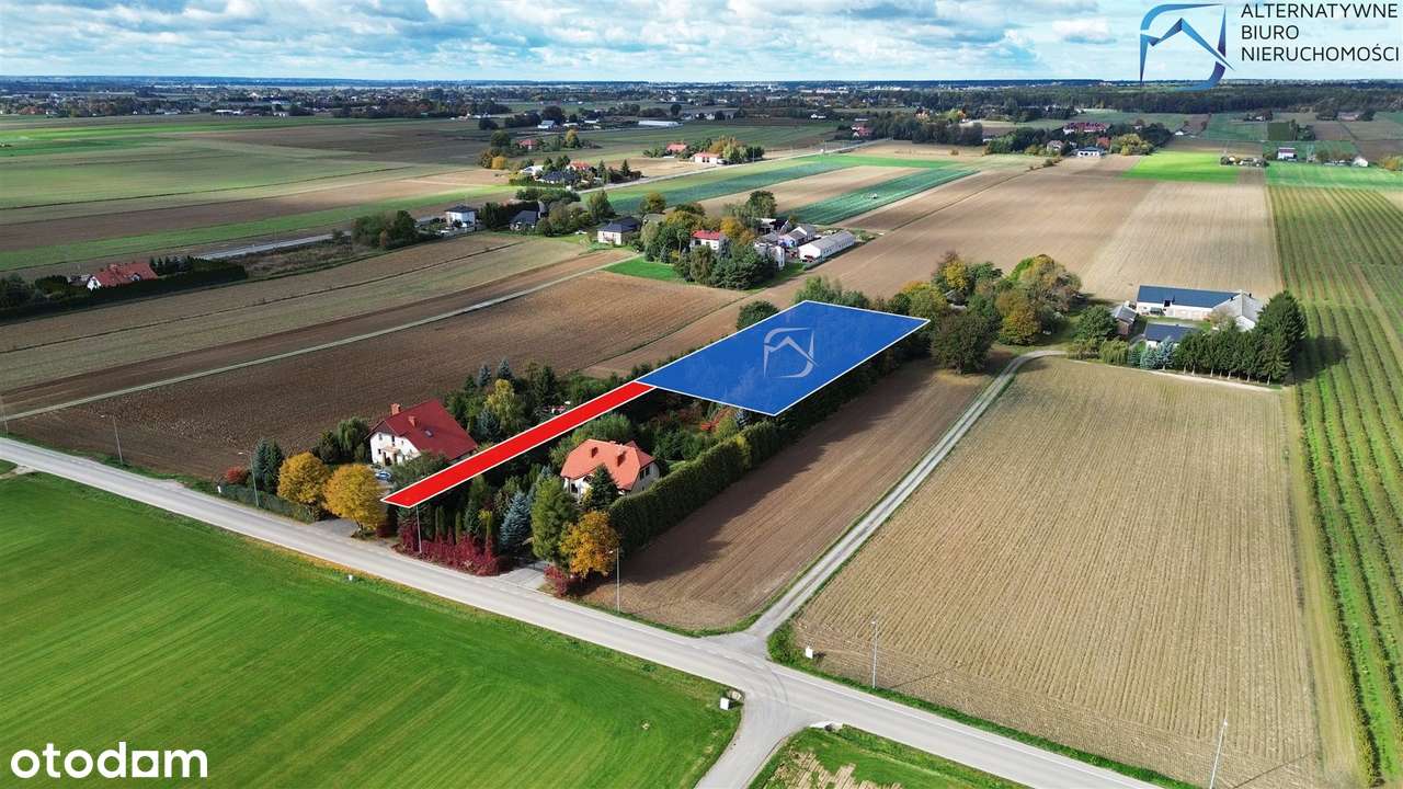 Unikalna, duża zadrzewiona działka budowlano-roln - Pełny obrazek: 4/7