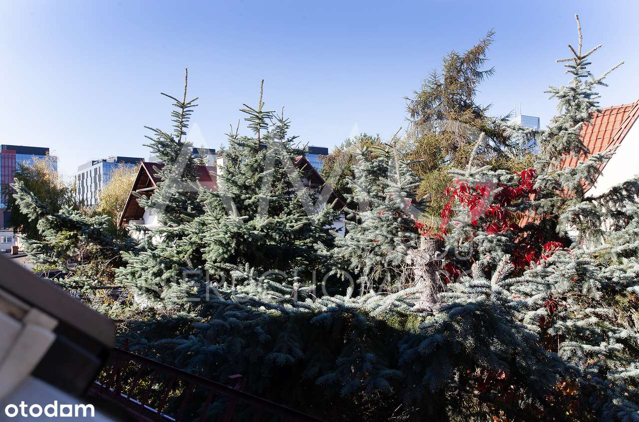 Działka z domem wolnostojącym dla inwestora | ul. Arkońska-12