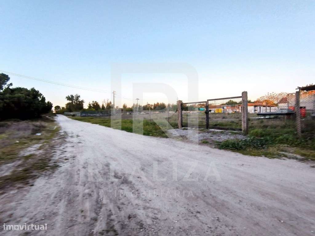 Terreno rústico em Pegões - Grande imagem: 4/16