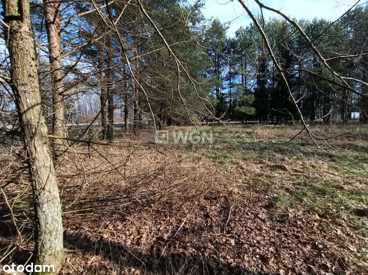 Działka, 2 501 m², Kałtki-9