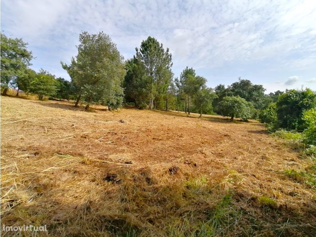 Terreno em Óbidos com grande potencial para plano urbanís...