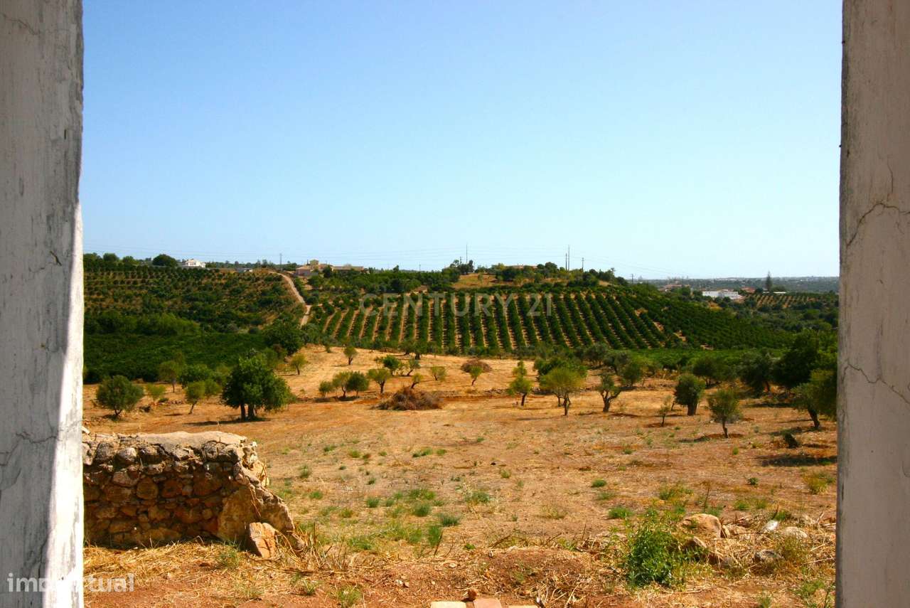 Terreno com ruína e projeto em aprovação para uma propriedade de 547 m - Grande imagem: 5/51