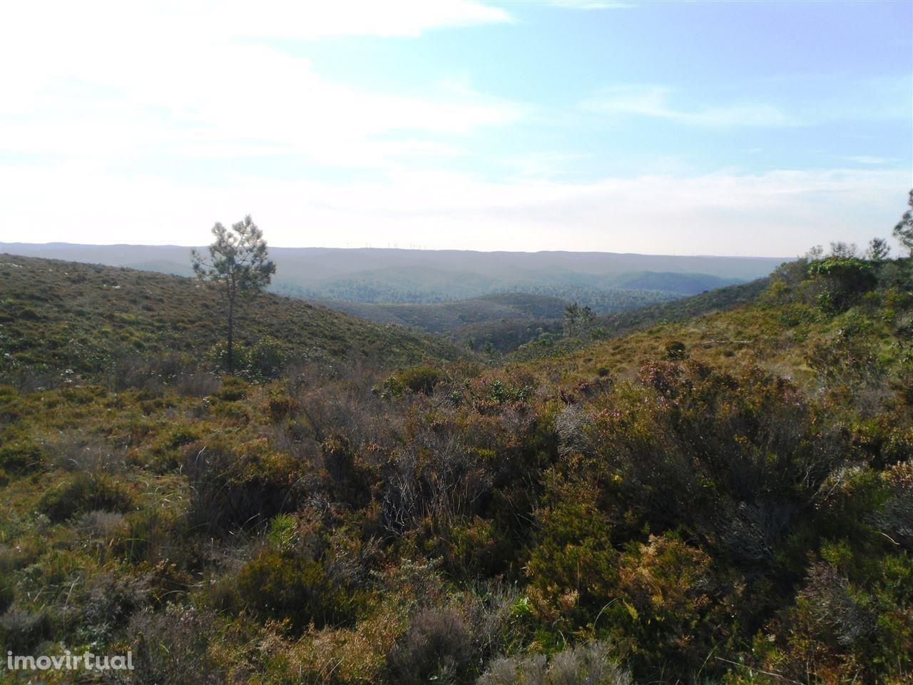 Herdade com 61ha, Bordeira, Aljezur