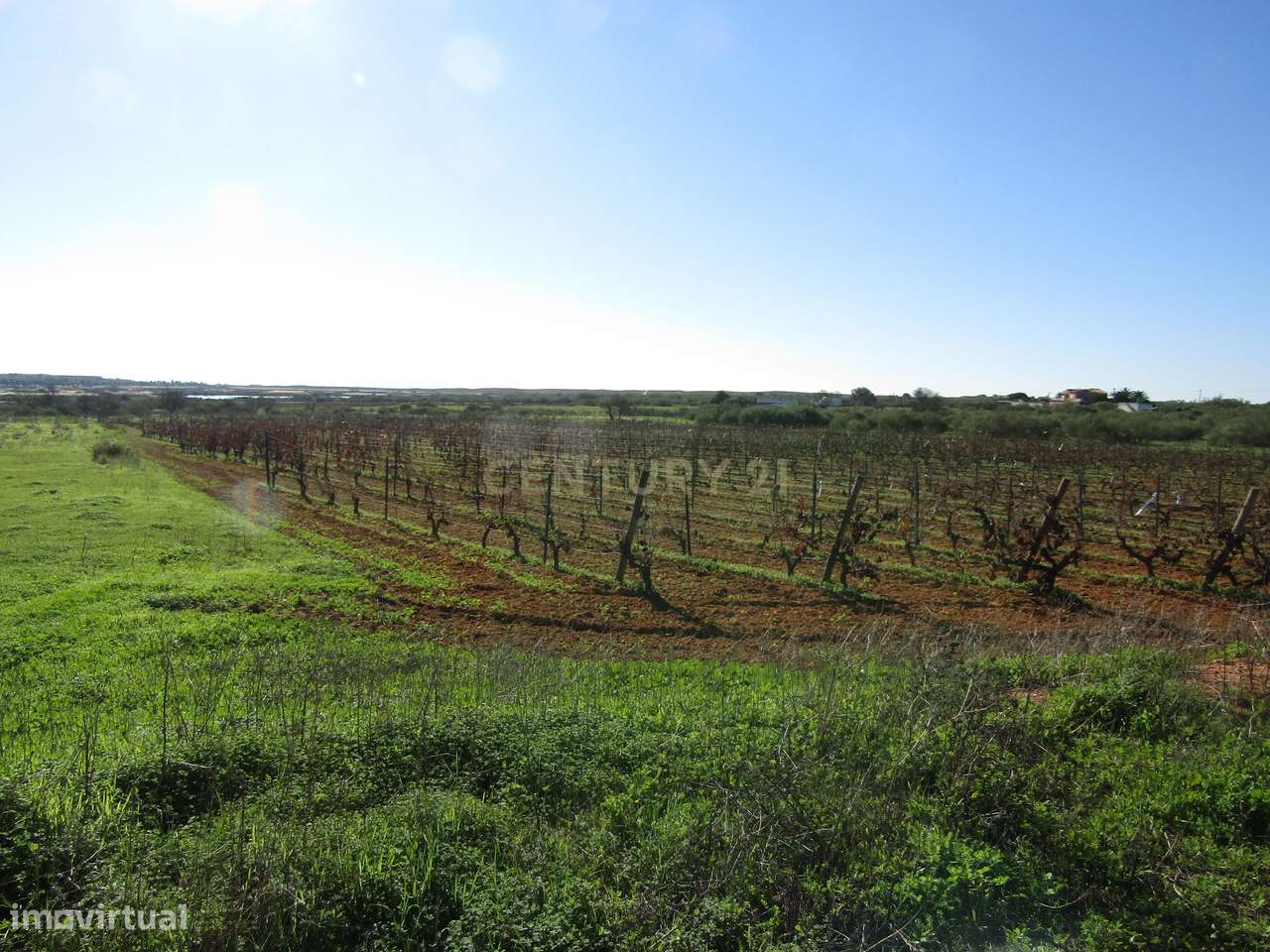 Terreno Rústico - Grande imagem: 3/8