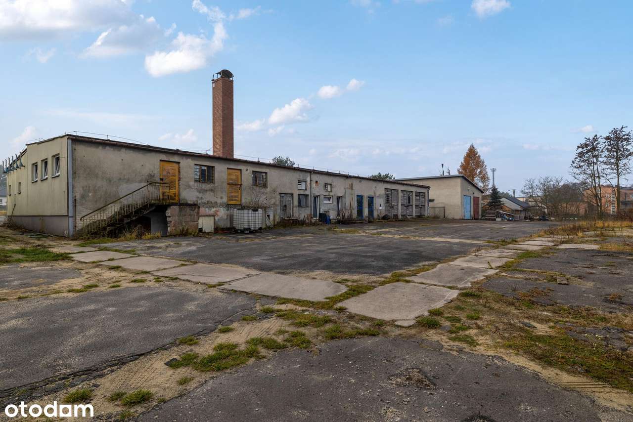 10 000  m2  w centrum Szczekocin-8