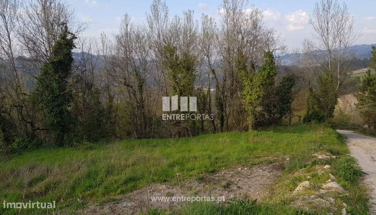 Venda Terreno, Várzea de Ovelha e Aliviada, Marco de Canaveses - Grande imagem: 4/25