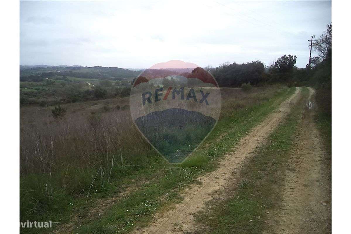 TERRENOS NA TAPADA - TOMAR - Grande imagem: 2/6
