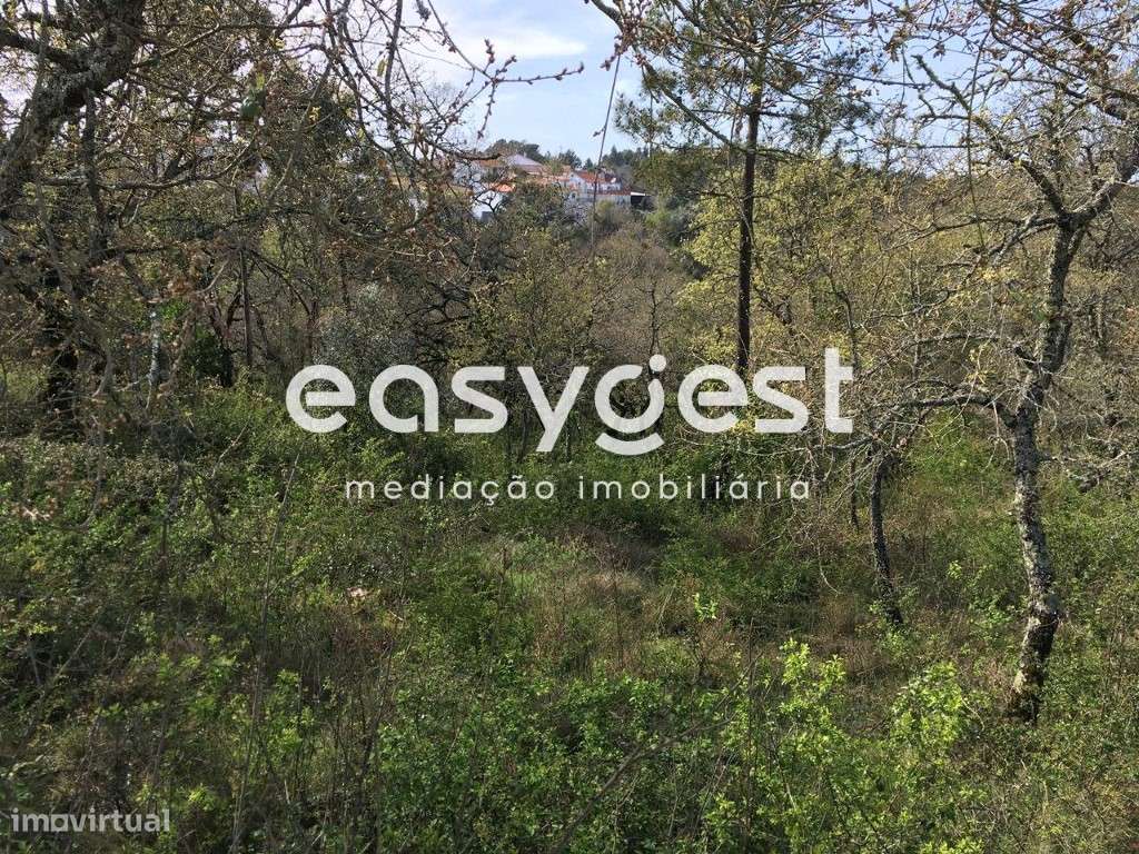 Terreno com possibilidade de construção - Grande imagem: 3/6