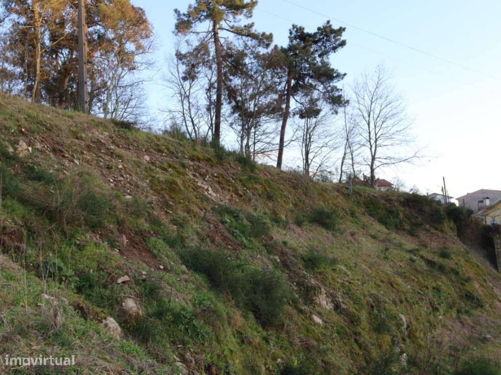 Terreno Construção Altura | 8750m²-8