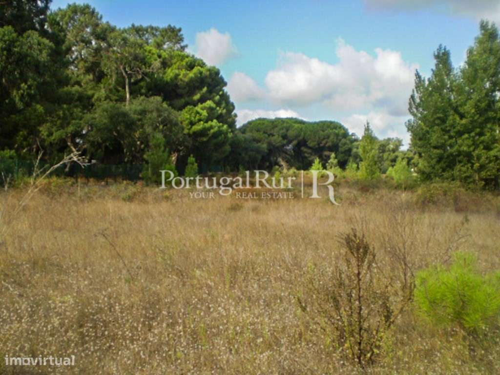 Terreno de 7500m2 para construção - Grande imagem: 4/7