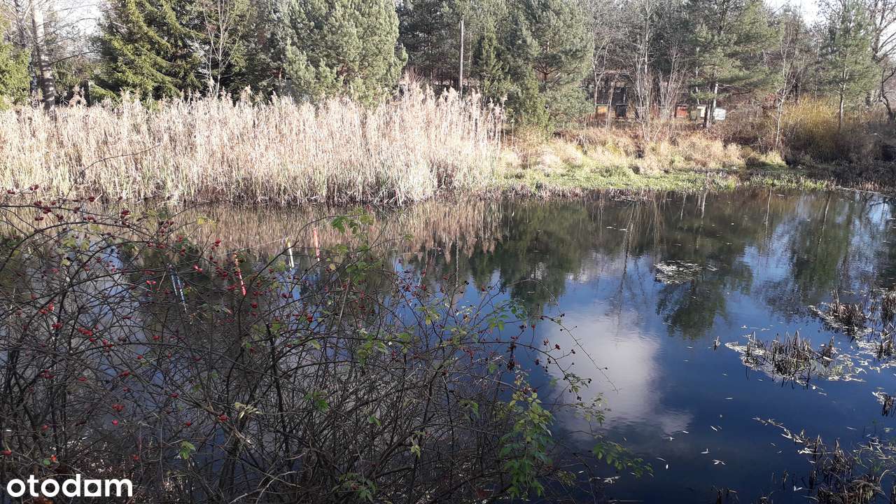 Dom ze stawem - Pełny obrazek: 4/14