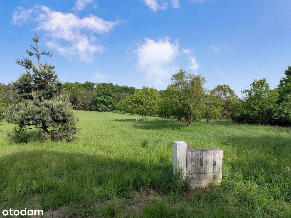 Działka z lasem w cenie 70zł/m2. - Pełny obrazek: 2/4