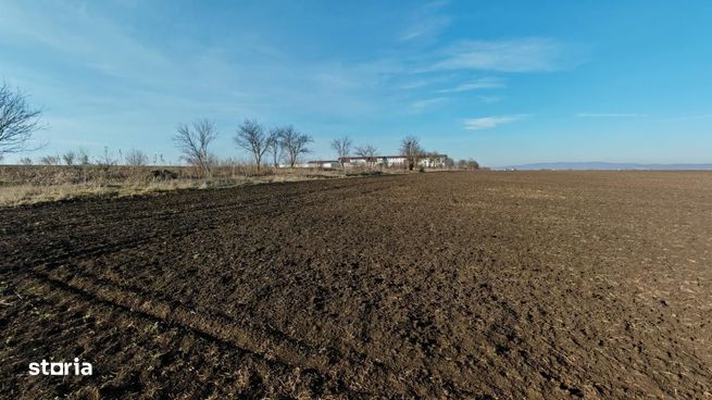 Teren intravilan,428 mp,SANPETRU iesirea spre BOD, utilitati.-2