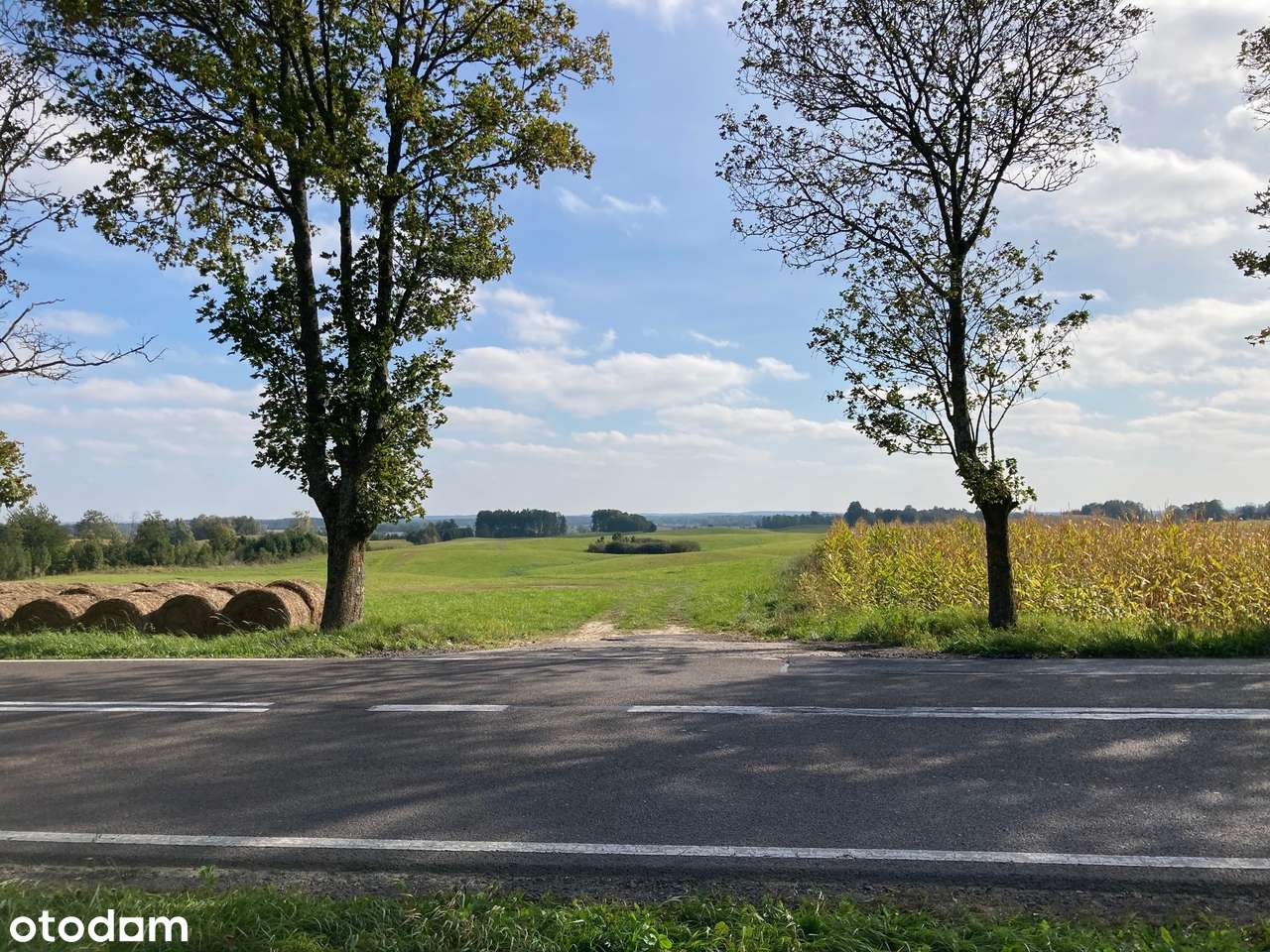 Duża Nieruchomość Rolna przy drodze krajowej 59 pod Giżyckiem - Pełny obrazek: 5/7