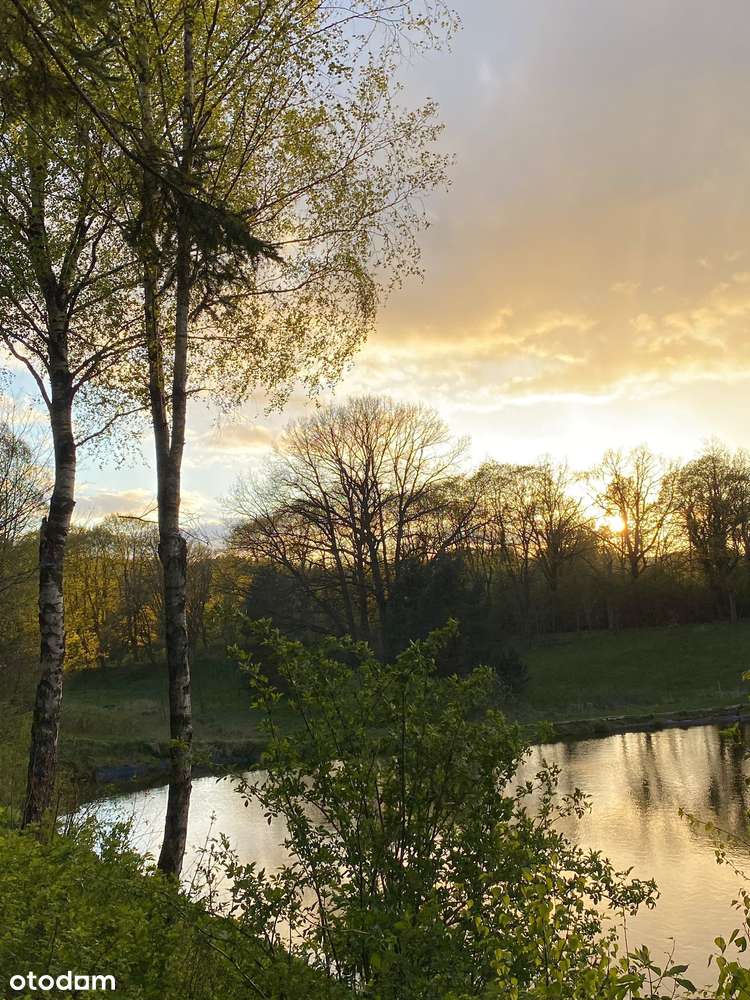Działka siedliskowa z wydanymi warunkami zabudowy + stawy rybne-4