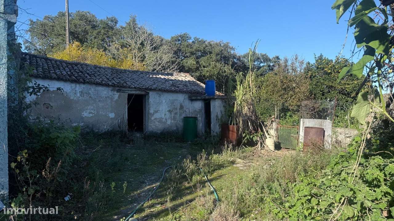 Moradia para reconstrução | Terreno 1.506 m2 | Vista campo | Periferia-14