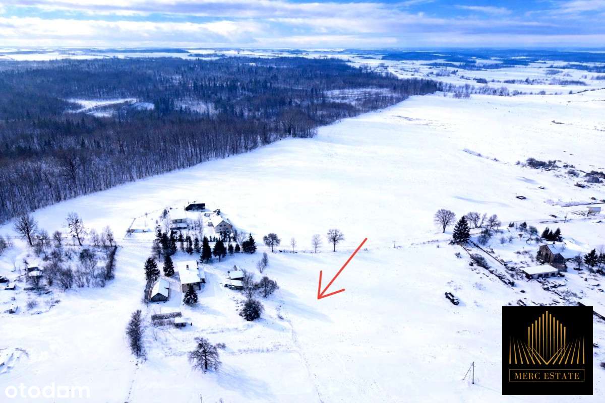 Działka z WZ w Borkach wielkich-7