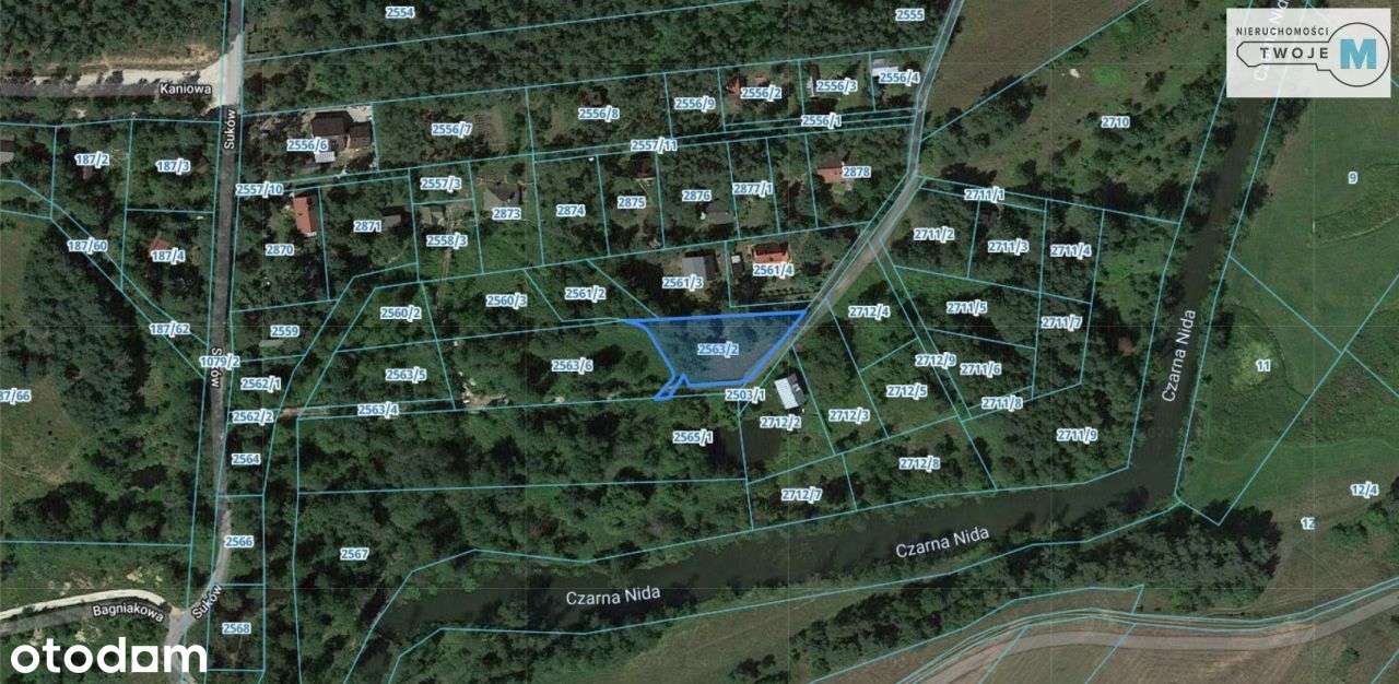 Urokliwa działka, w pobliżu las oraz rzeka Nida. - Pełny obrazek: 4/8
