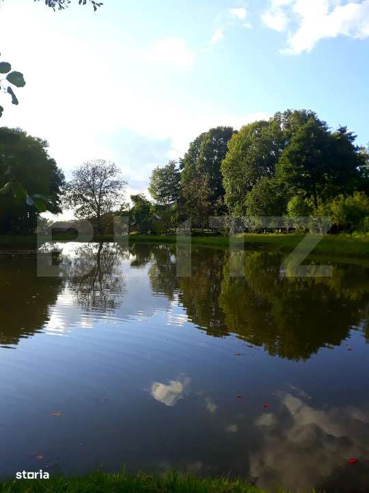 Casa cu 5 camere,  116 mp+teren 83 ari +lac de pesti, zona Budacul de - Imagine principală: 5/14
