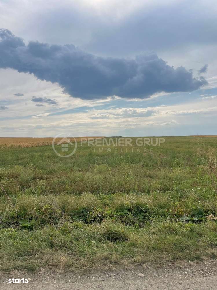 Teren 7.200mp, Bogdanesti-Horlesti - Imagine principală: 1/6