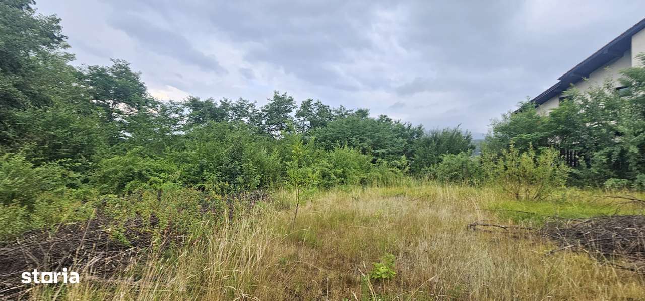 Vand teren intravilan de constructii situat la sosea, Tropinii Noi,PUZ-11