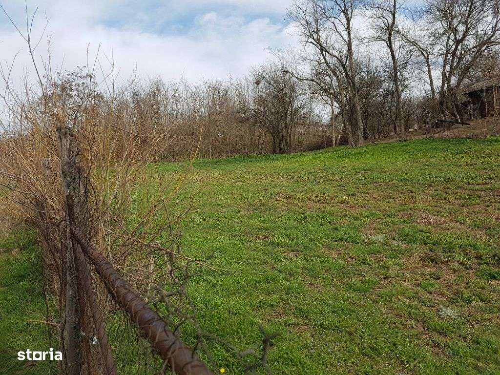 Vanzare teren intravilan, Lacul Sarulesti, 1.000 mp, comision 0% - Imagine principală: 5/6