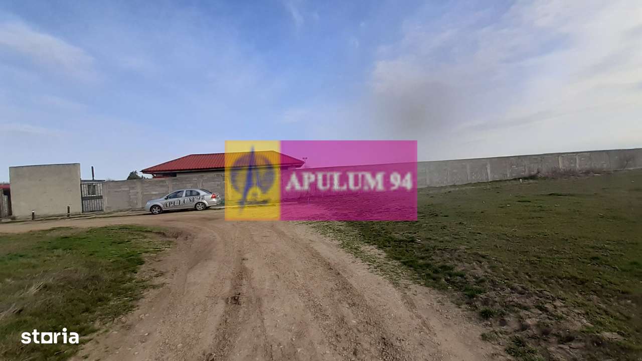 Parcelă lângă pădure în Ilfov - Imagine principală: 2/9