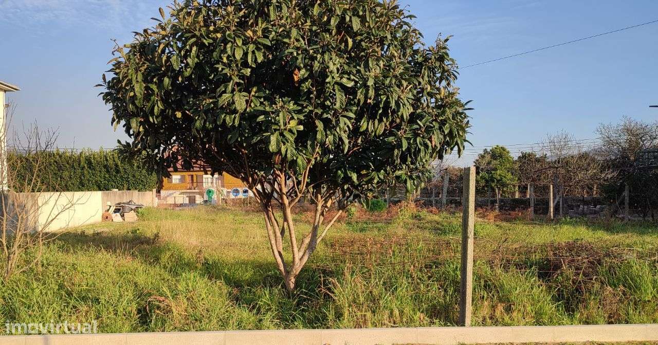 Terreno para construção em Figueiredo, Amares - Grande imagem: 4/7