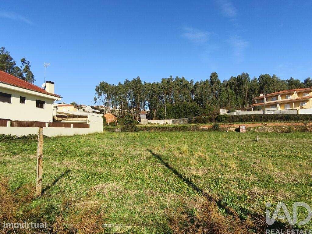 Terreno em Canedo, Vale e Vila Maior de 2893,00 m2 - Grande imagem: 3/17