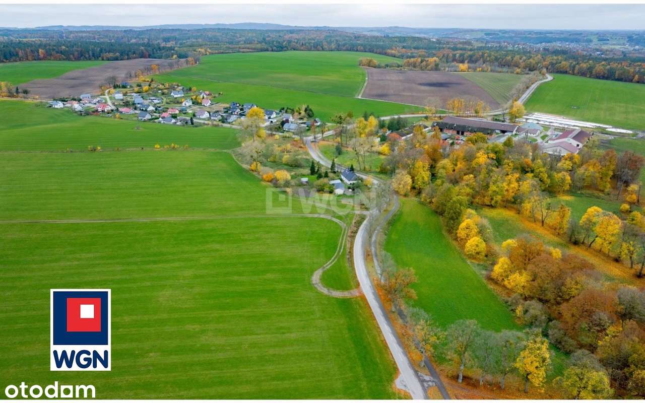 Na sprzedaż, Gospodarstwo Rolne- Ekologiczna Farma Mleczna, Wyczechowo-16