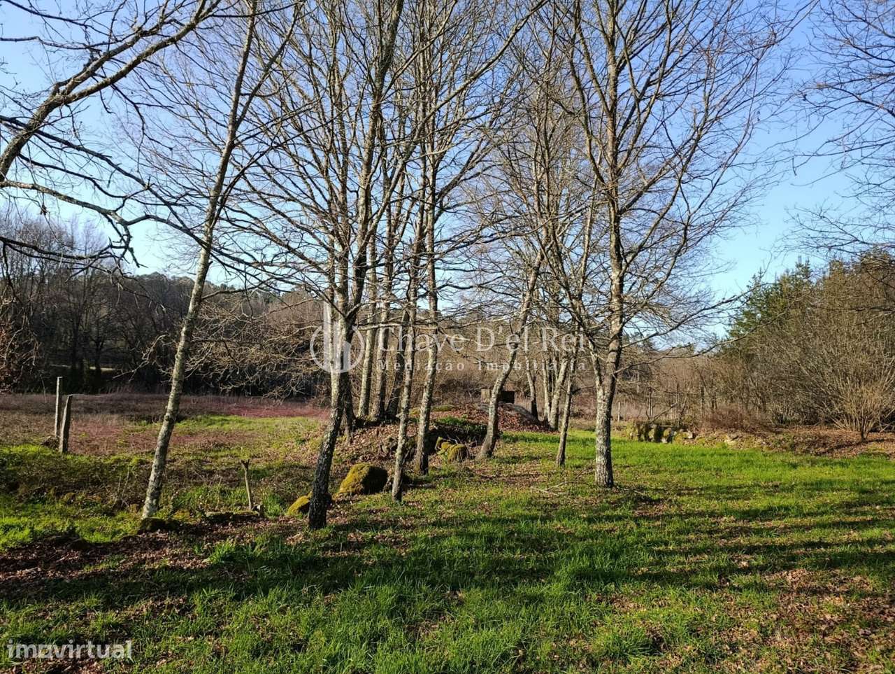 Terreno  Venda em Couto de Baixo e Couto de Cima,Viseu-5