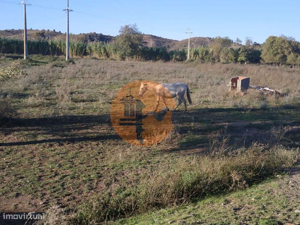 TERRENO COM RUINA - 4.960 M2 - COM NORA - ÁGUA DA BARRAGEM NA JUNQU...-13