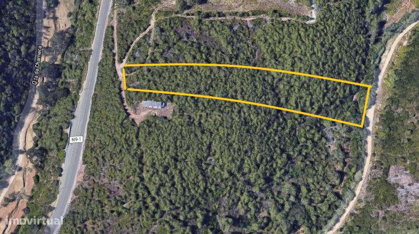 TERRENO - MALVEIRA DA SERRA - Grande imagem: 4/13