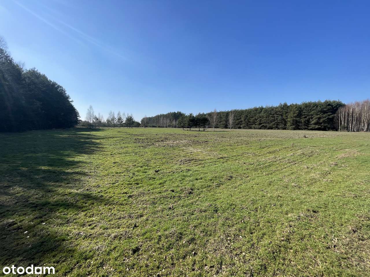 Na sprzedaż działki o powierzchni 3000 m² - Pełny obrazek: 3/4