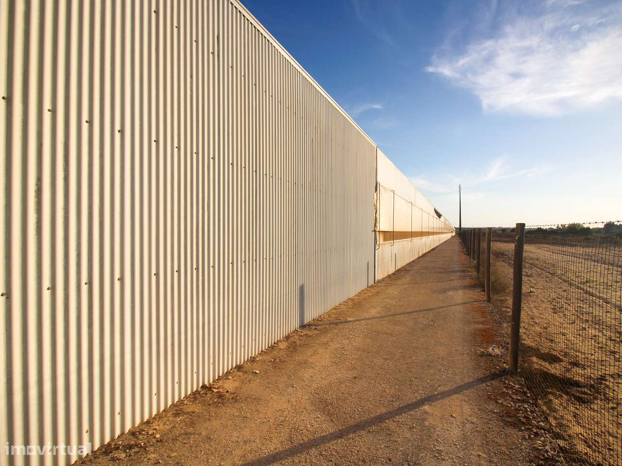 Estufa de produção para Horticultura e Floricultura - Grande imagem: 4/13