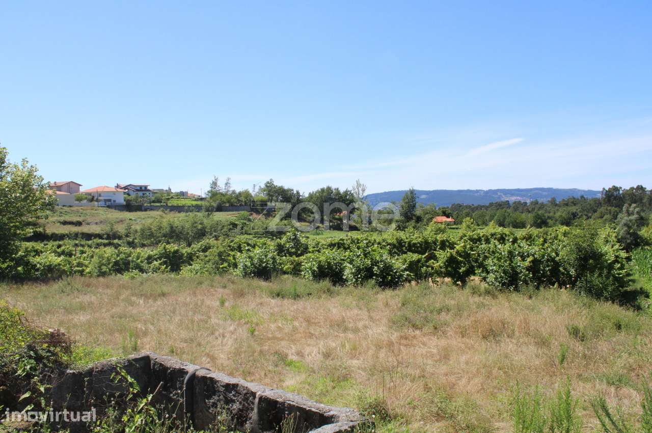 Terreno de Quinchães - Grande imagem: 4/15