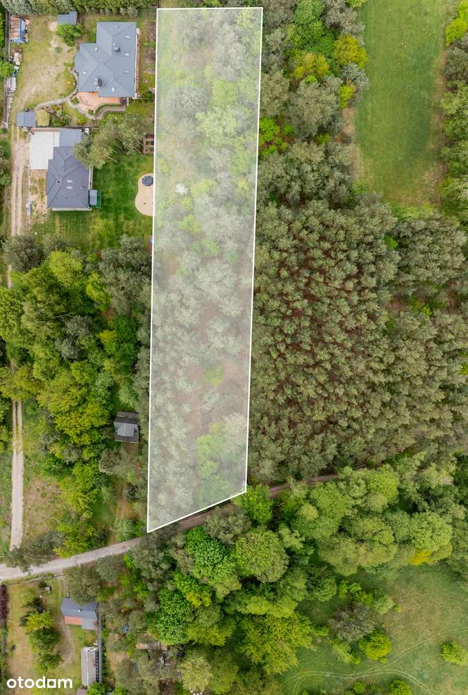 w lesie/WZ w trakcie/pod budowę domu jednorodzinnego/media - Pełny obrazek: 5/11