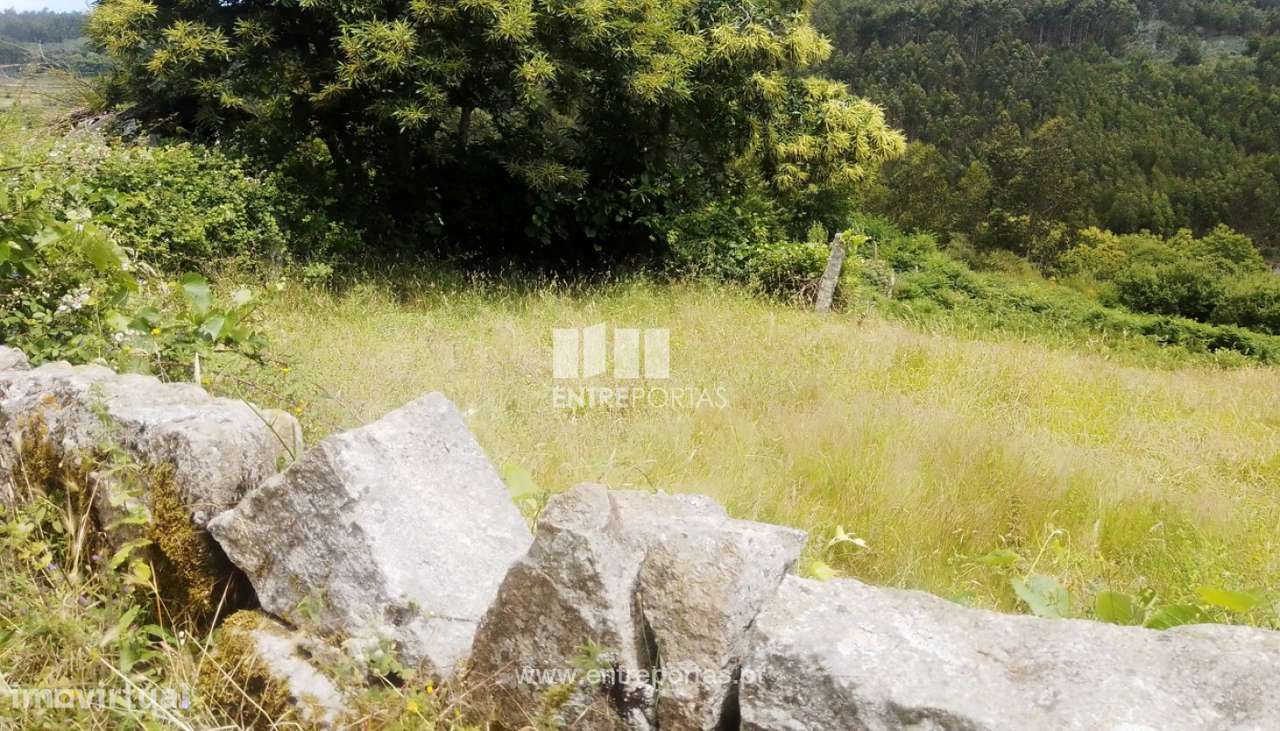 Venda Terreno, Santiago de Piães, Cinfães - Grande imagem: 5/40