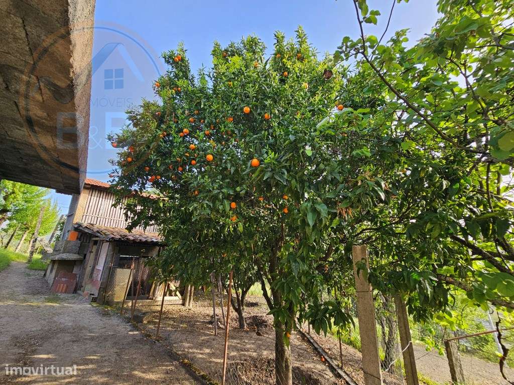 Moradia T4, em pedra, com terreno de 2.366 m² e Espigueiro datado d...-43