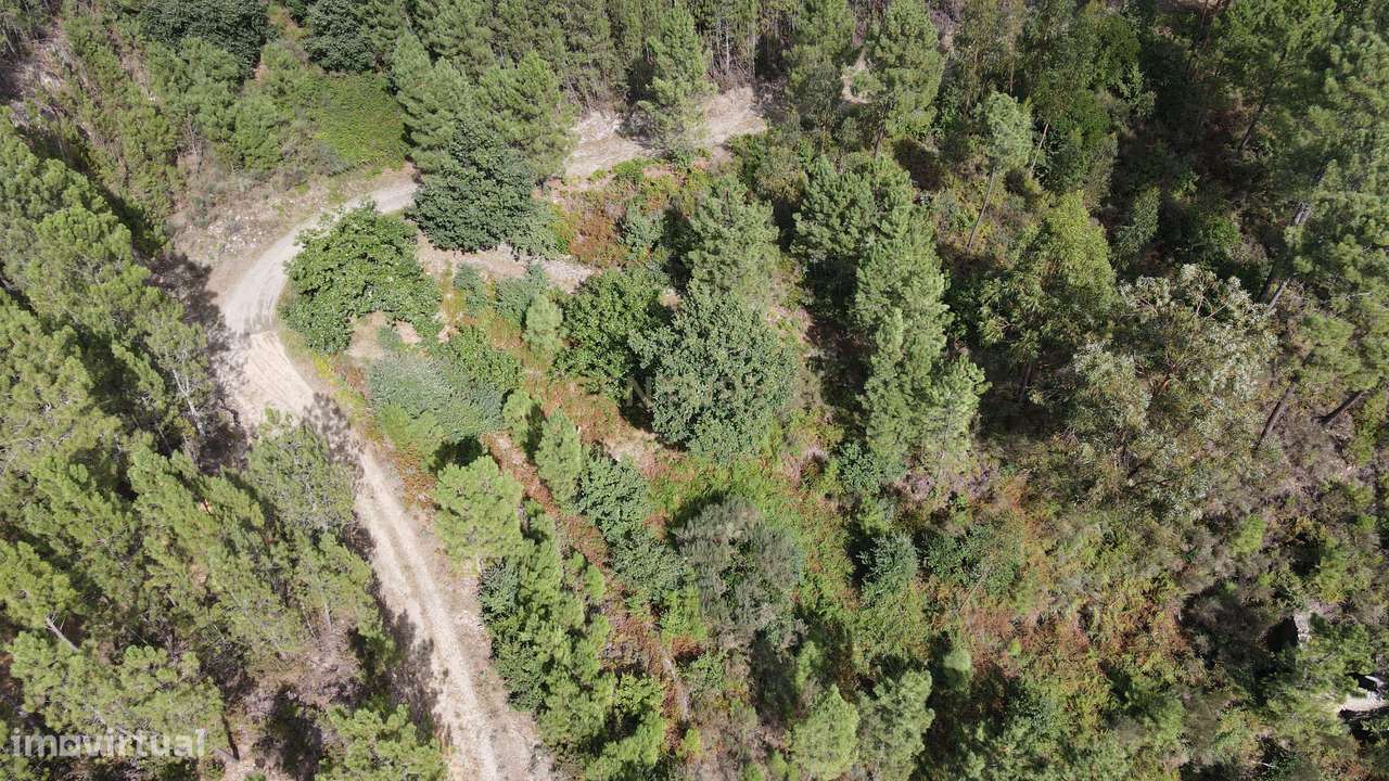 Quinta com várias construções em Seia - Grande imagem: 5/8