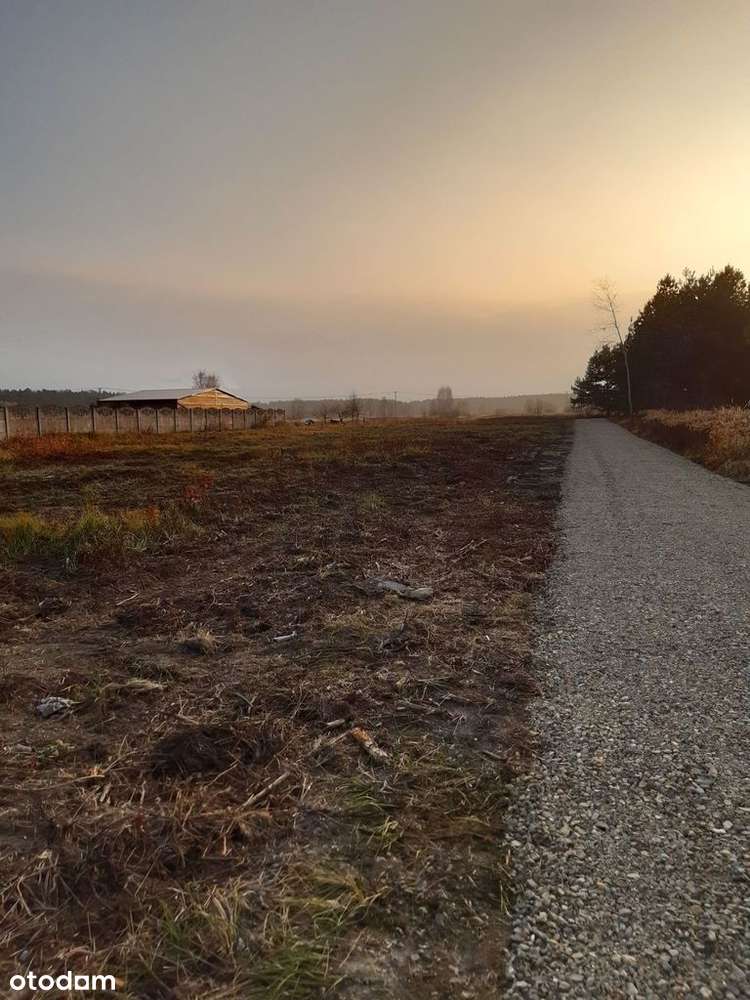 NOWA CENA ! Dz. budowlana+ rolna. Łącznie 48,15 arów. - Pełny obrazek: 5/7