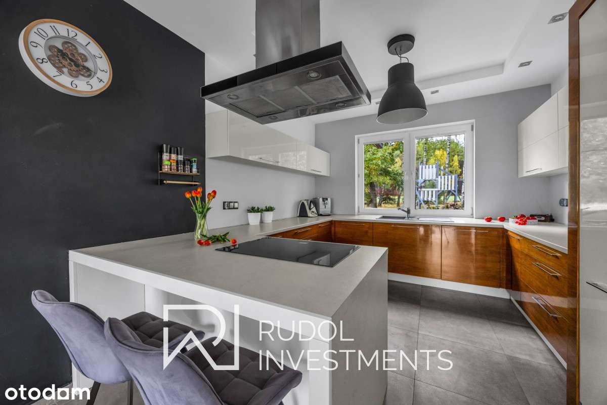 Ponadczasowy projekt w harmonii z naturą-15